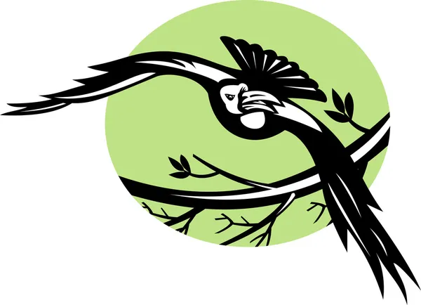 Uccello corvo che vola con ramo — Foto Stock