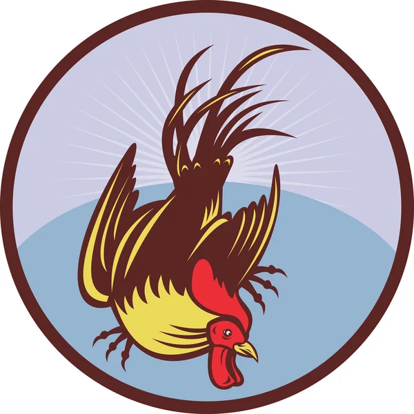 Tupp tuppen kuk kyckling — Stockfoto