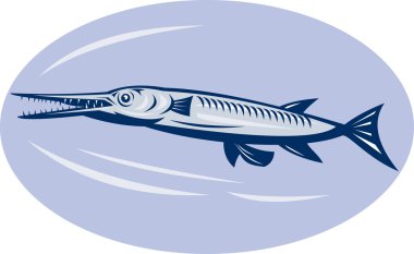 Needlefish (family Belonidae) clipart