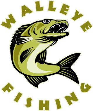 Walleye fish jumping Sander vitreus clipart