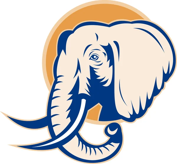 Afrikansk elefant Tjurhuvud — Stockfoto