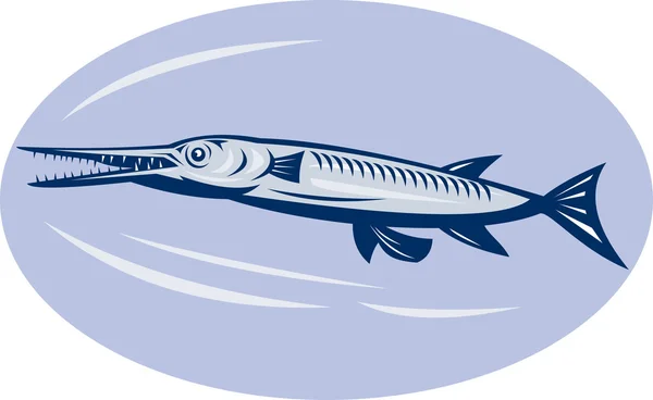 Needlefish (family Belonidae) — Stock Photo, Image