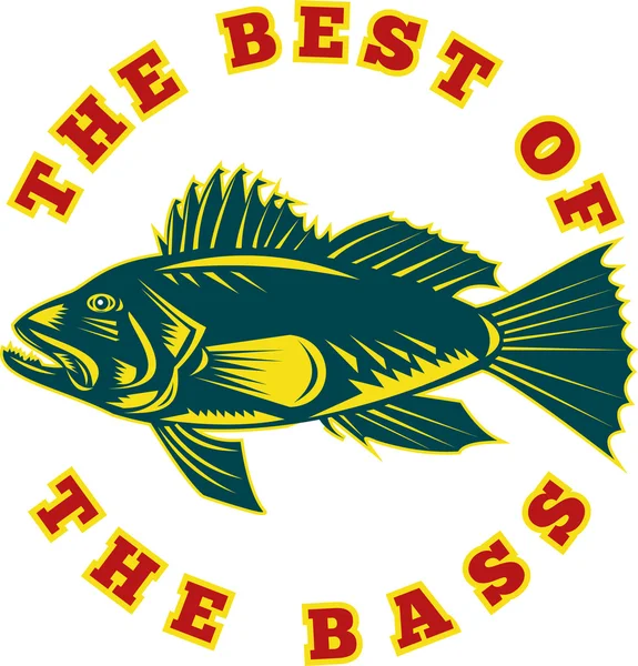 Sea Bass o melhor do baixo — Fotografia de Stock
