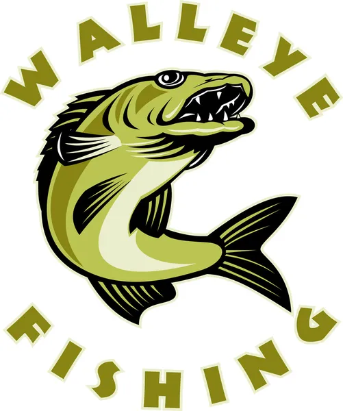 Walleye pesce che salta Sander vitreus — Foto Stock