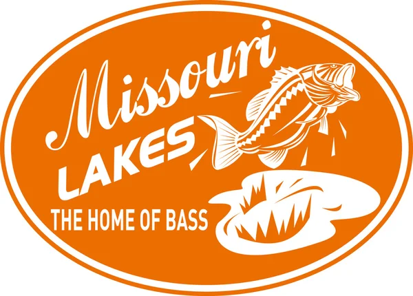 Largemouth bass missouri lakes — Stock Photo, Image