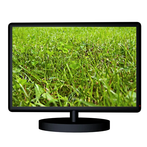 Grass on tv — Stock Photo, Image