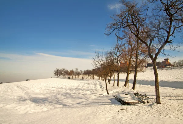 Paesaggio di neve — Foto Stock
