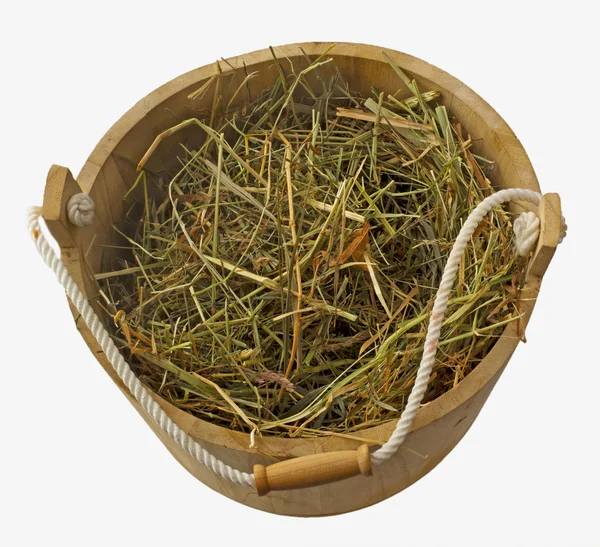 Bucket of Hay — Stock Photo, Image