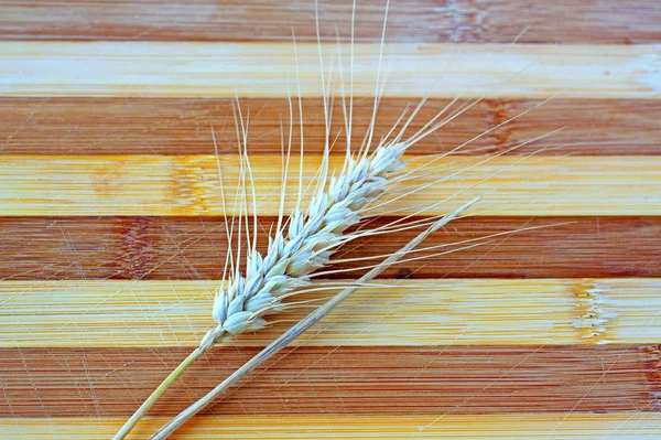 Колосся пшениці — стокове фото