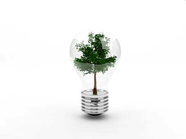 Tree inside light bulb — Stock Photo, Image
