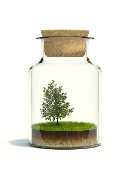 Дерево на траве в бутылке — стоковое фото