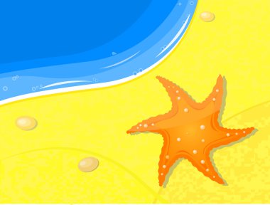 Deniz yıldızı deniz kenarında kum üzerinde