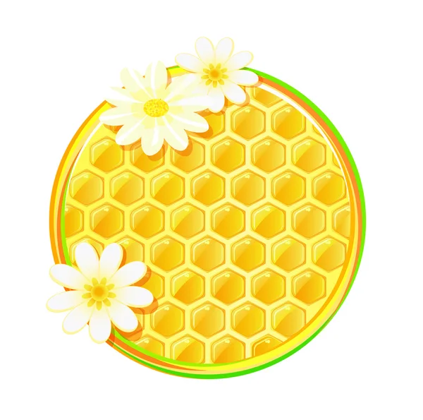 Favo de mel em círculo com flor de camomila — Vetor de Stock