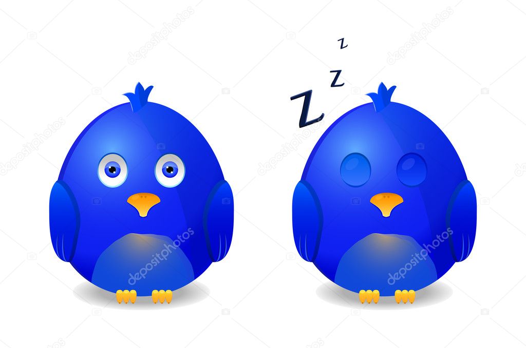 Blue bird awake and sleeping