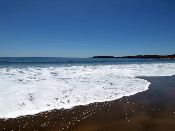Біла піна від хвилі на пляжі Північної Каліфорнії — стокове фото