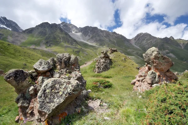 Rochers dans la vallée de montagne du Caucase avec herbe — Photo