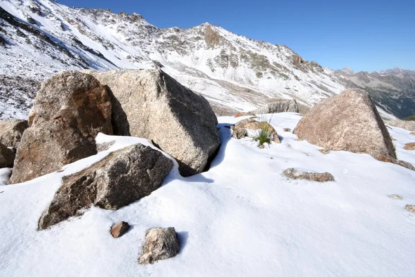 Boulders, stones in snow with green grass. Caucasus mountains. — Stock Photo, Image