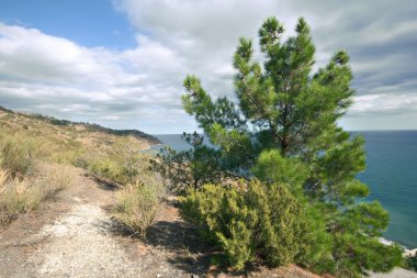 ağaçlar ve çalılar arasında deniz yolu. Kırım Dağları.