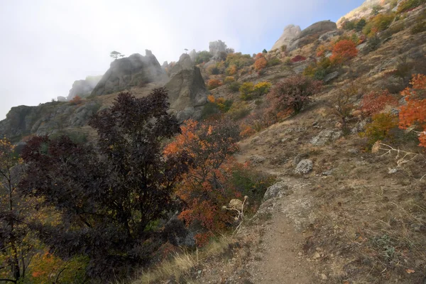 クリミア自治共和国の山の斜面上の多くの色の茂み。岩. — ストック写真