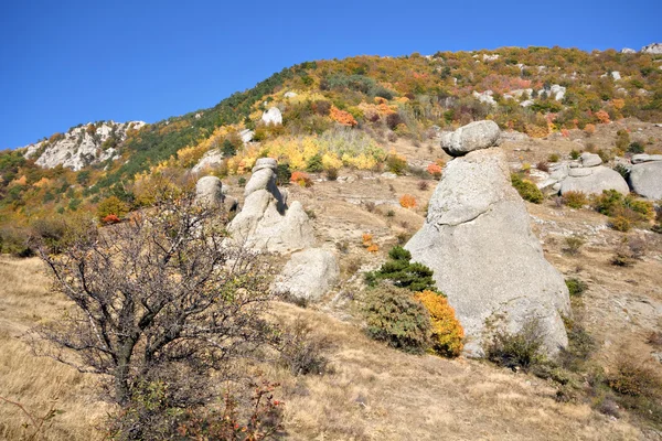 Büsche und Felsen in den Bergen der Krim. Herbst. Demerdgi-Felsen. — Stockfoto