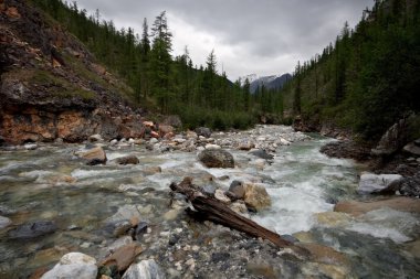 Mountain river Yamangol in East Sayan Mountains clipart