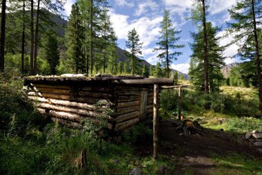 Wood shack (izba, winter hut) in wild forest, Sayan Mountains, Buryat Republic, Russia. Near the Shumak river. stock vector