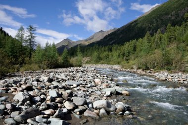 Shumak river. Siberia. East Sayan Mountains. clipart