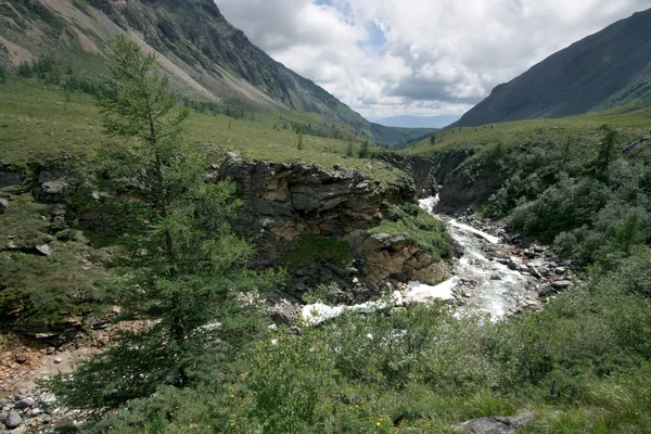 Mélèze, ravin de rivière de montagne avec des roches.Sibérie . — Photo