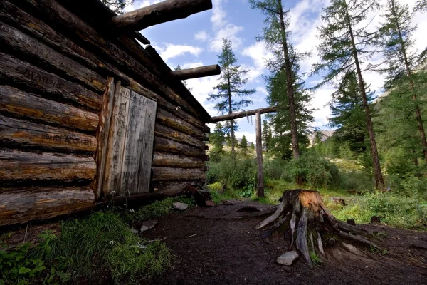 Cabana de madeira (cabana de inverno) na floresta selvagem, Montanha — Fotografia de Stock