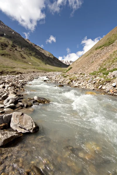 Ström av berg flod. Kaukasus-dalen. Elbrus område. — Stockfoto