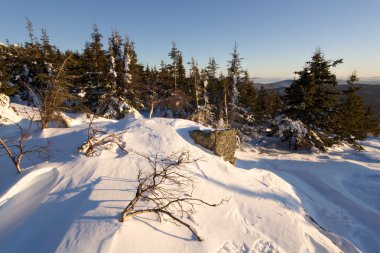 karlı kış landscape.snow kaplı trees.russia.