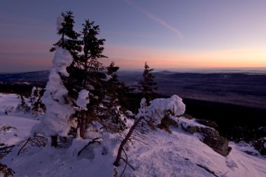 Winter snowy landscape.Snow-covered trees.Sunset. clipart