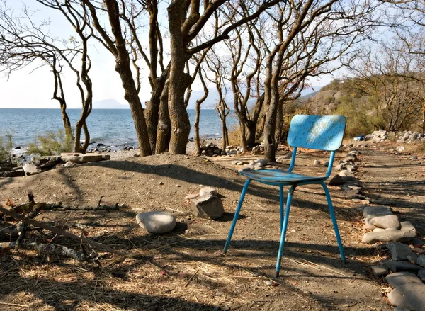Lieu de camping avec feu parmi les arbres, chaise bleue — Photo
