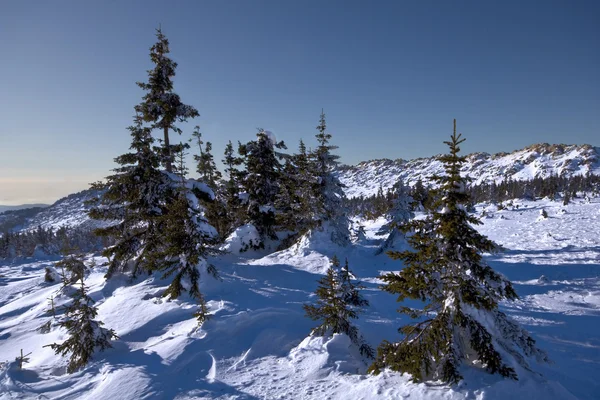 Paisaje nevado de invierno.Naturaleza salvaje en Rusia.Taiga —  Fotos de Stock