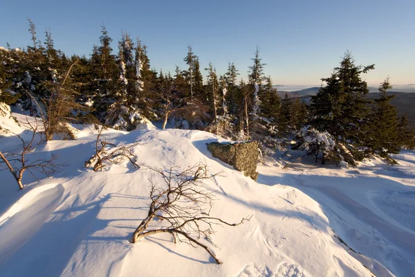 Karlı kış landscape.snow kaplı trees.russia. — Stok fotoğraf