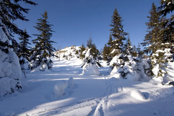 Tranquilo inverno paisagem.Pistas de esqui, neve. Rússia — Fotografia de Stock