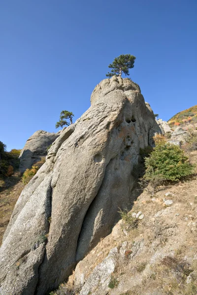 Pedra pilar com árvore, montanhas da Crimeia. Paisagem . — Fotografia de Stock