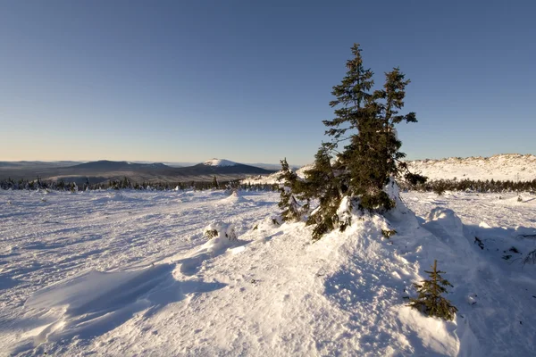 Vintern snöiga landscape.wild natur i russia.taiga — Stockfoto