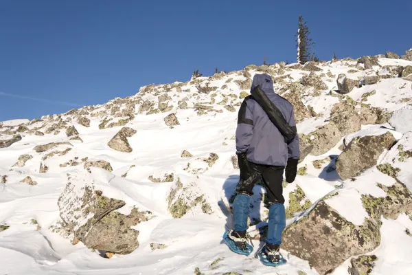 Альпініст в снігоступах (сніг взуття) ходити в схил гори. Росія. ваш Стокове Зображення