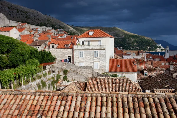 Dubrovnikin vanhan kaupungin arkkitehtuuri — kuvapankkivalokuva