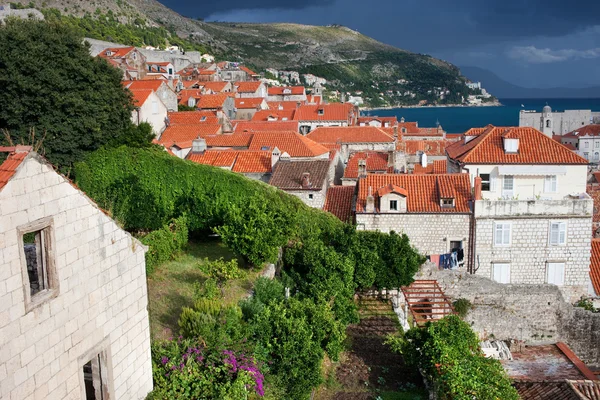Ciudad vieja de Dubrovnik —  Fotos de Stock