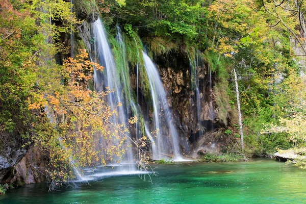 Höstens vattenfall i skogen — Stockfoto