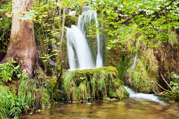 Vattenfall i skogen — Stockfoto