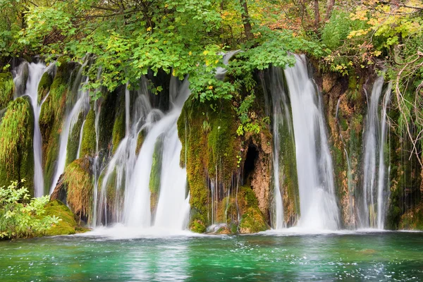 Waterfall in the Forest — Stock Photo, Image