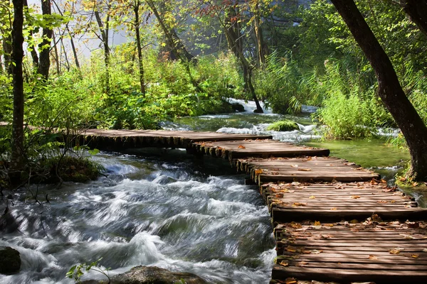 Bos stream landschap — Stockfoto