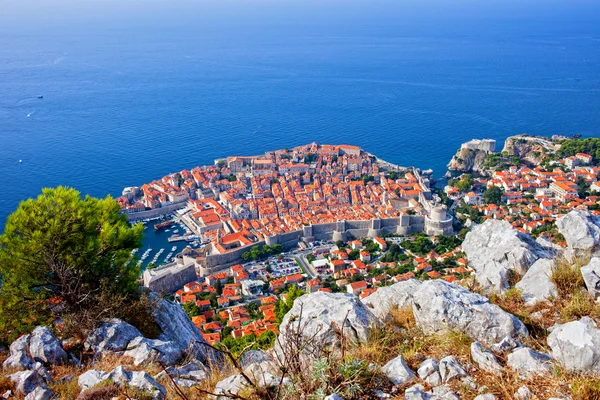 クロアチアでは マウンテン ビューの上部のアドリア海のドゥブロヴニク旧市街 — ストック写真