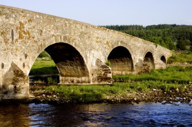 Picturesque scenery by the old bridge across the Suir river in county Tipperary, Ireland clipart