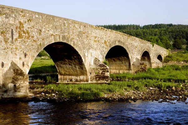 ティペラリー州 アイルランドでシュア川川を渡る古い橋で美しい風景 — ストック写真