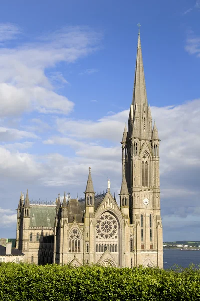 St. Colman Cathedral — Stock Photo, Image