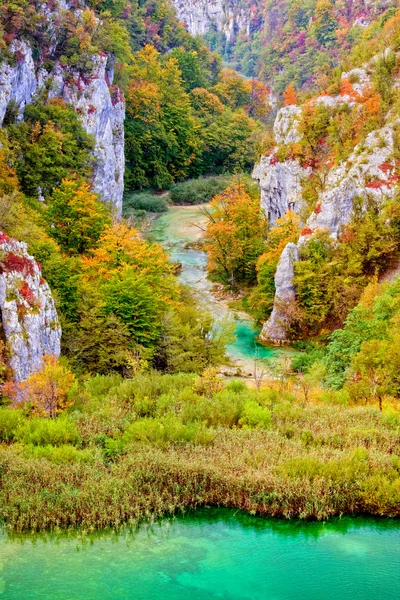 Осенний сезон в горах — стоковое фото